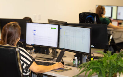 Comparing Loan Servicing Options